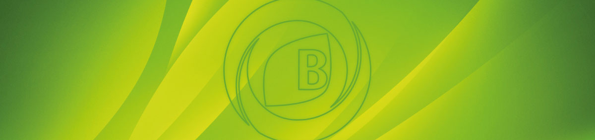Banner-Store-4.jpg